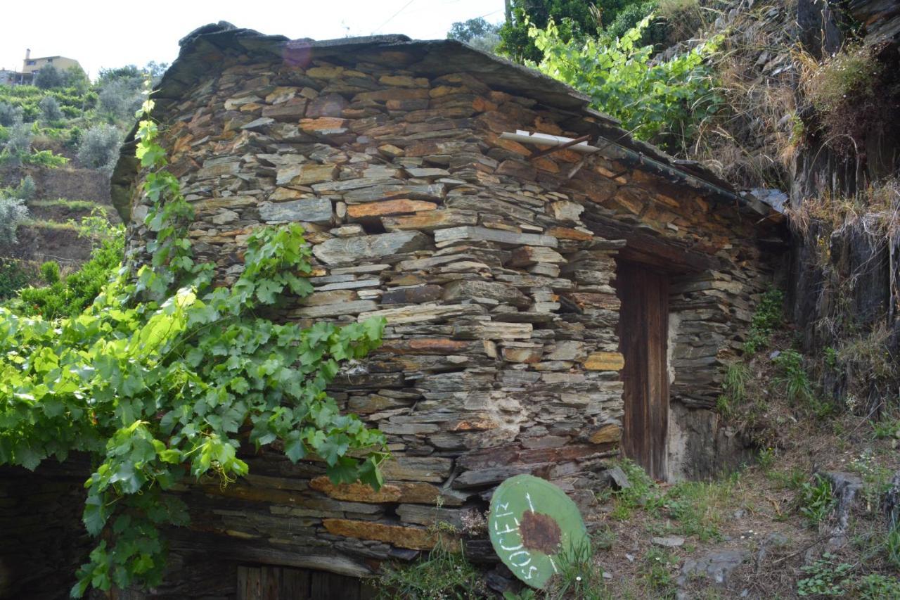 Villa Casa Do Azereiro Casal do Rei  Esterno foto